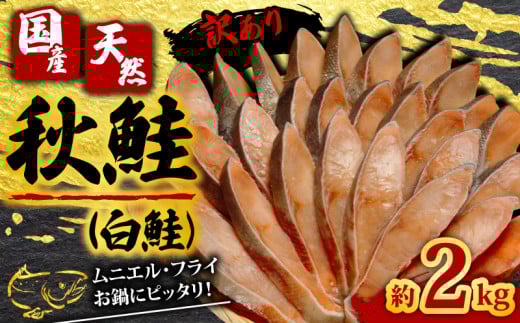訳あり 国産 天然 秋鮭 （ 白鮭 ） 切身 約2kg 【調理におすすめ】 しゃけ 秋 さけ 鮭 ムニエル フライ 鍋 ホイル焼き 鮭茶漬け ちゃんちゃん焼き 料理 魚 魚貝 魚介 海鮮 規格外 不揃い 切身 冷凍 小分け お取り寄せ グルメ ギフト 贈物 贈答 プレゼント 無添加 長期保存 冷凍 冷凍食品 大容量 人気 おすすめ 送料無料 ふるさと納税 ふるさと納税鮭 千葉県 銚子市 辻野