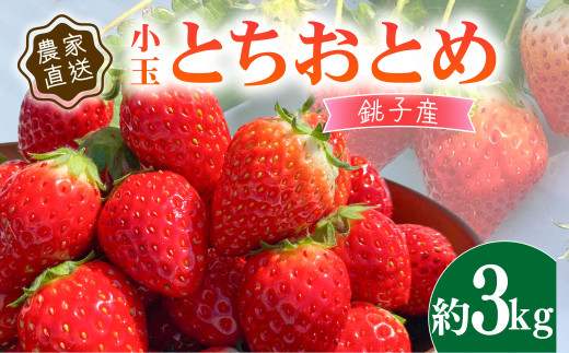 冷凍いちご　とちおとめ 9kg 冷凍いちご とちおとめ 9kg