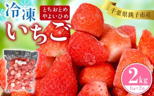 銚子産 冷凍いちご 2kg ( 1kg × 2 ) とちおとめ やよいひめ 冷凍イチゴ  神原いちご園 苺 いちご イチゴ 真空パック 冷凍 冷凍フルーツ カットフルーツ フルーツ ジャム スムージー 便利 簡単 小分け 個別冷凍 真空 冷凍品 長期保存 お取り寄せ グルメ 食品 冷凍食品 大容量 送料無料 ギフト 贈物 贈り物 プレゼント 千葉県 銚子市 神原いちご園