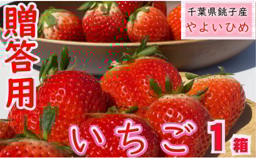 先行予約 いちご やよいひめ 1箱（約400g） 林いちご園 銚子産  苺 いちご イチゴ ビタミンC 葉酸 食物繊維 デザート ミルフィーユ フルーツ ヨーグルト スムージー 朝摘み 朝採れ 新鮮 千葉県 銚子市