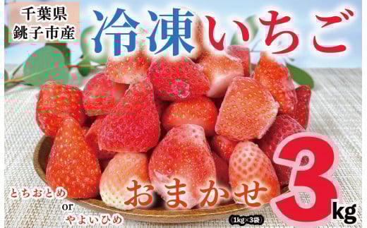 冷凍いちご 3kg （ 1kg × 3 ） とちおとめ やよいひめ 冷凍イチゴ  神原いちご園 銚子産 苺 いちご イチゴ 真空パック 冷凍 冷凍フルーツ カットフルーツ フルーツ ジャム スムージー 便利 簡単 千葉県 銚子市