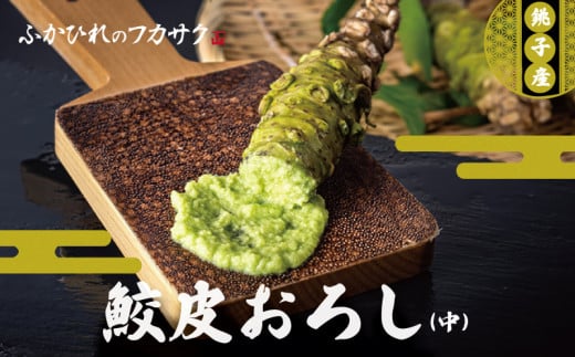 鮫皮おろし板(中) わさび わさびおろし おろし板 おろし 鮫 鮫皮  お刺身 寿司 わさび醤油 わさび塩 わさび菜 野菜 しょうが 薬味 そば  千葉県 銚子市