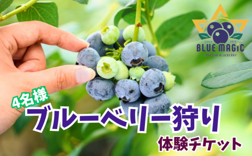 ブルーベリー狩り チケット 4名様 千葉県 銚子市 ブルーベリー フルーツ狩り 果物狩り フルーツ もぎたて 体験 夏休み 子ども 家族 親子 旅行 女子会 果物狩り お手軽 人気 イベント 手作りジャム 果物 チケット ブルーベリー狩り ブルーベリー摘み 6月 7月 8月 AGRIMOVADO アグリモバード