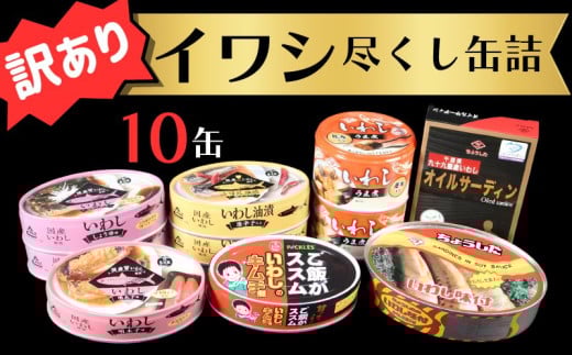 訳あり 缶詰 7種 イワシ尽くし お試しセット ( 10缶 ） 缶詰  いわし 詰め合わせ おすすめ セレクト 人気 栄養 炊き込みご飯 パスタ おつまみ 美味しい 国産 国内産 醤油 明太子 キムチ オイルサーディン キムチ煮 油漬 しょうゆ 醤油 アレンジ 非常食 保存食 常備 災害 備蓄品 和風 洋風 健康 ご飯がすすむ 千葉県 銚子市 銚子市観光協会