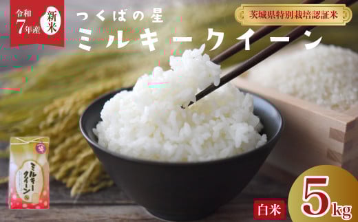 [先行予約 令和7年産 新米 ]ミルキークイーン 低アミロース つくばの星 白米5kg | 特別栽培認証米 ミルキークイーン 特長のある米 GAP認証 森 ミネラル 水 山田川 安全 安心 美味しい 米 人気 低アミロース 茨城県 常陸太田市