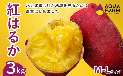 さつまいも 「べにはるか」 M~Lサイズ 3kg | 甘い 焼き芋 お取り寄せ 紅はるか スイーツ おやつ 秋の味覚 ギフト 糖度 自然の恵み やきいも 国産 子ども 産地直送 茨城県 常陸太田市