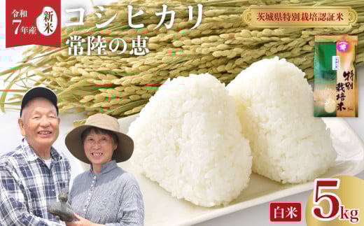 【令和7年産 新米 】特別栽培認証米 こしひかり 常陸の恵 白米 5kg | 特別栽培認証米 コシヒカリ GAP認証 森 ミネラル 水 山田川 安全 安心 美味しい 米 人気 自然栽培 つやつや もっちり 茨城県 常陸太田市