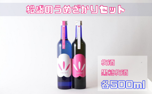 松盛のうめざかりセット（梅酒・黒糖梅酒 各500ml×１本）【常陸太田 人気 梅酒 飲み比べ 飲みくらべ 父の日 母の日 プレゼント 50代 60代 70代 80代 ギフト 還暦祝い 古希 古稀 喜寿 傘寿 米寿 敬老の日 内祝 結婚祝い お誕生日 お歳暮 お中元 クリスマス】