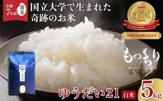 [先行予約 令和7年産 新米]食味コンクール最高賞 品評会を席巻した奇跡のお米 ゆうだい21 白米5kg | ゆうだい21 常陸の瞳 ブランド米 宇都宮大学 GAP認証 森 ミネラル 水 最高賞 品評会 安全 安心 美味しい 米 粘り もちもち 食感 希少品種 冷めても おいしい 茨城県 常陸太田市