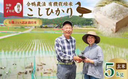 【令和7年産 新米 】オーガニック あいがも 有機栽培米 コシヒカリ 合鴨常陸青龍米 玄米 5kg|有機JAS認証 有機栽培米 有機栽培 有機米 森 ミネラル 水 山田川 安全 安心 美味しい 米合鴨農法 健康 自然環境 負荷かけない リサイクル 農業 コシヒカリ 常陸太田市 人気 敬老の日 茨城県 常陸太田市