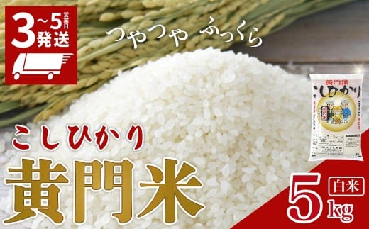 【令和7年産】通常便 1回 黄門米 コシヒカリ 5kg 白米  | <最短3日後発送> コシヒカリ こしひかり 5kg 5キロ 米 こめ コメ お米 白米 精米 お取り寄せ 贈答 人気 ランキング ごはん 贈り物 5キロ 風味 甘い 米どころ ブランド米 黄門米 水戸黄門 人気米 茨城県産 常陸太田市 タツミ米穀
