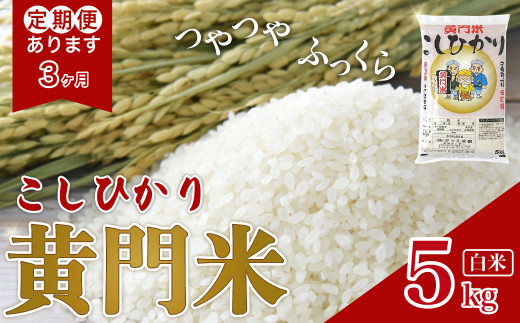 【令和7年産】3ヶ月定期便 黄門米 コシヒカリ 白米 5kg | 茨城県産 常陸太田市 タツミ米穀 コシヒカリ こしひかり 5kg 5キロ 米 こめ コメ お米 白米 精米 お取り寄せ 贈答 人気 ランキング ごはん 贈り物 風味 甘い 米どころ ブランド米 黄門米 水戸黄門 人気米