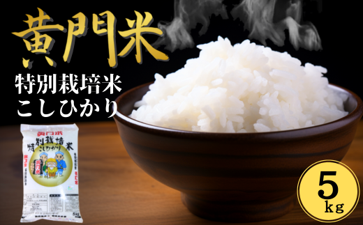 【令和7年産】通常便 1回 黄門米 特別栽培米 コシヒカリ 白米５kg | コシヒカリ こしひかり 茨城県特別栽培農産物認証米 米 コメ こめ 白米 精米 5kg 5キロ 有機肥料 米糠 大豆粉砕 農薬 抑えた 低農薬 健康 体 やさしい 高品質 お米 ご飯 美味しい米 ブランド米 特産物 認証 人気米  茨城県産 常陸太田市 タツミ米穀