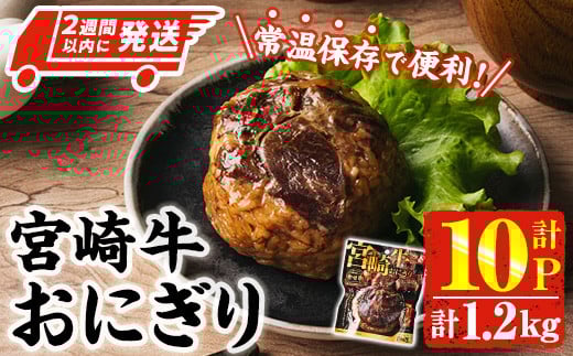 ＜2週間以内発送！＞ 宮崎牛 おにぎり (計1.2kg・120g×10P) 牛肉 ブランド牛 お弁当 レンジアップ 小分け 湯煎 個包装 おつまみ レトルト 常温 保存 ご当地 簡単調理【AP-79】【株式会社 日向屋】