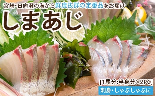 【北海道・離島配送不可】新鮮!しまあじのお刺身(1尾分:約500~600g)海鮮 魚介 お刺し身 シマアジ しゃぶしゃぶ 冷蔵 真空 国産【UZ-05】【請関水産】