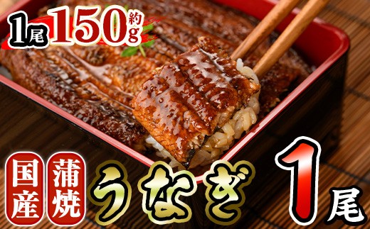 国産 うなぎ 蒲焼 (約150g×1尾) 鰻 タレ かば焼き うな重 うな丼 ひつまぶし 小分け 真空包装 真空パック 【AW-91】【丸正水産】