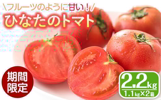 ＜先行予約受付中！2026年2月から順次発送予定＞ひなたのとまと(計2.2kg・1.1kg×2箱)トマト フルーツトマト 糖度 9度 以上 野菜 旬野菜 冷蔵 門川町産 宮崎県 門川町【A-3】【株式会社 新門トマト農園】