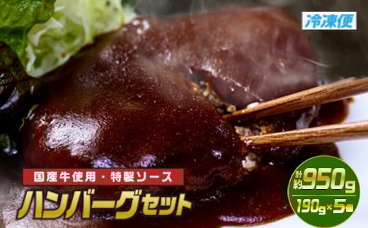 ハンバーグセット(計約950g・190g×5個)お肉 牛肉 ソース 冷凍 個包装 国産 おかず 惣菜 簡単調理【TG-1】【サンクスギビング】