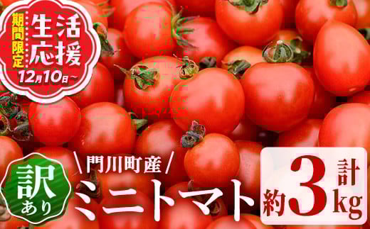 ＜先行予約受付中！2026年2～3月の間に発送予定＞訳あり 規格外 数量限定 門川町産 ミニトマト(計3kg)  訳あり 規格外 数量限定 門川町産 ミニトマト 期間限定 生活応援 とまと 野菜 ミックス 生 旬野菜 冷蔵 小鈴 キャロルパッション プレミアムルビー アイコ 【X-10】【いけとも農園】