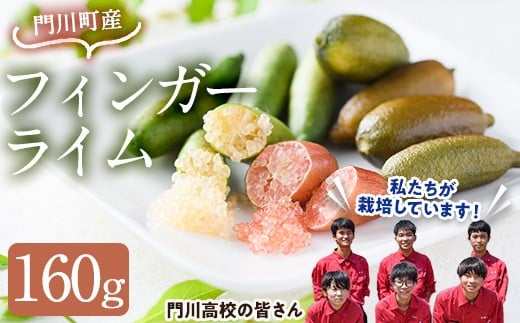 ＜数量限定・期間限定＞宮崎県門川町産フィンガーライム(160g) 柑橘 希少 ライム キャビアライム シトラス ミアローズ ティスティグリーン ピンクパール レッドスパークリング ダークレッド 高校生 高校【AU-2】【宮崎県立門川高等学校】