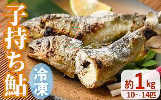 冷凍子持鮎(約1kg・10~14匹) 鮎 冷凍 子持ち鮎 小分け 国産 門川町産 宮崎県産 塩焼き あゆ 川魚 養殖 香魚 【ME-03】【米良水産】
