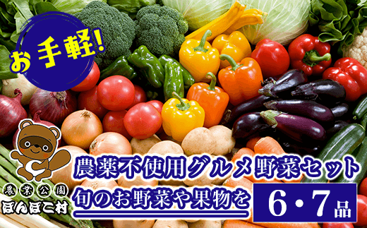 KAT002 お手軽!農薬不使用グルメ野菜セット【旬のお野菜や果物を6・7品】<農業公園ぽんぽこ村> ふるさと納税 野菜 野菜セット 新鮮 農薬不使用 オーガニック お鍋 サラダ 千葉県 木更津 送料無料