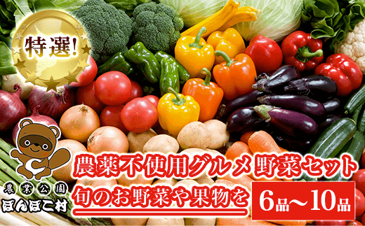 KAT001 特選!農薬不使用グルメ野菜セット【旬のお野菜や果物を6品~10品】<農業公園ぽんぽこ村> ふるさと納税 野菜 野菜セット 新鮮 農薬不使用 オーガニック お鍋 サラダ 千葉県 木更津 送料無料