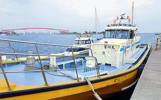 KAO001 ＜宮川丸＞木更津防波堤釣り 渡船乗船券　（１名様/1回分） ふるさと納税 釣り 船 舟 大漁 魚 イカ 漁船 千葉県 木更津 送料無料