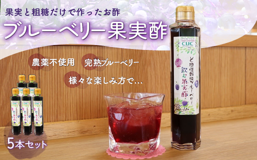 KT005 <果実と粗糖だけで作ったお酢>飲むブルーベリー果実酢 5本セット ふるさと納税 ブルーベリー お酢 酢 健康 美容 果実酢 ソーダ 水割り 千葉県 木更津 送料無料