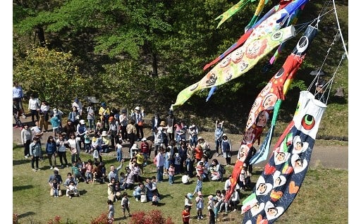 地域づくり及びコミュニティの推進