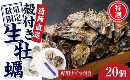 ★先行予約★【4月発送】特選!殻付き生牡蠣 20個【漁師直送!】