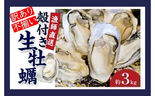 ★先行予約★《訳あり・不揃い》殻付き生牡蠣 3kg 【漁師直送!】冷蔵配送