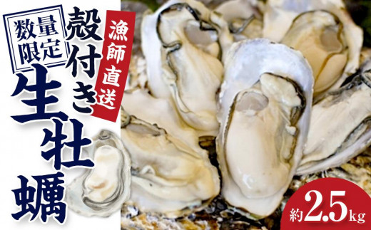 ★先行予約★殻付き生牡蠣 2.5kg【漁師直送!】