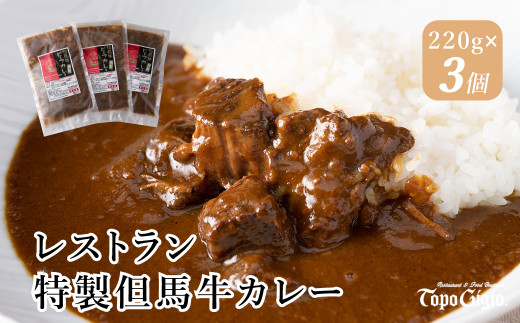 J7 レストラン の 特製 但馬牛 カレー 【 黒毛和牛 牛肉 ビーフカレー スパイス 冷凍 】