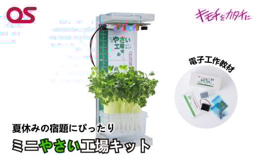 AG21 ミニ やさい 工場 キット DR-1V1 Web学習教材 【 野菜 栽培 学習 教材 夏休み 宿題 課題 実験 研究 自由研究 子ども 家庭菜園 電子 工作 】