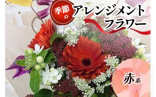 季節のアレンジメントフラワー赤系｜赤系 [0208]