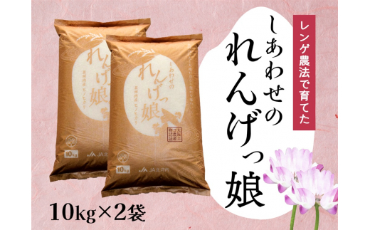 しあわせのれんげっ娘 (精米) 10kg×2｜お米 おこめ 米 コメ 白米 ご飯 ごはん おにぎり お弁当 [0098]