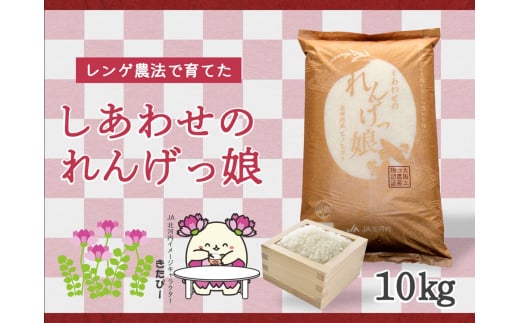 しあわせのれんげっ娘10kg (精米)｜お米 おこめ 米 コメ 白米 ご飯 ごはん おにぎり お弁当 [0100]