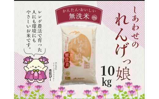 しあわせのれんげっ娘10kg (無洗米)｜お米 おこめ 米 コメ 白米 ご飯 ごはん おにぎり お弁当 [0102]