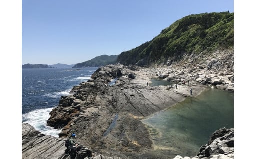 三陸の豊かな海の保全と地域産業の振興のため