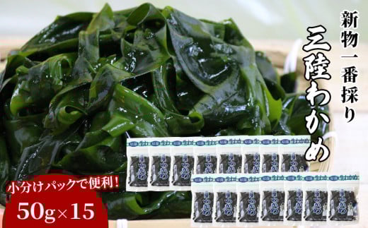 fc-39-011   一番採り三陸わかめ (塩蔵) 小分けセット(50g×15) ヤマキイチ商店