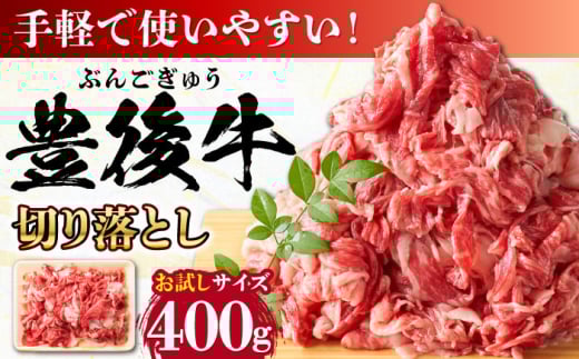 【お試しにピッタリ！】 おおいた豊後牛 牛肉 切り落とし 400g 日田市 / 株式会社MEAT PLUS 牛肉 おおいた豊後牛 おおいた 豊後牛 黒毛和牛 赤身 薄切り 切り落とし 和牛 [AREI001]