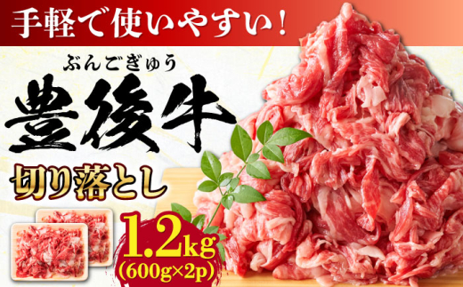 【大容量パック！】 おおいた豊後牛 牛肉 切り落とし 1.2kg (600g×2) 日田市 / 株式会社MEAT PLUS 牛肉 おおいた豊後牛 おおいた 豊後牛 黒毛和牛 赤身 薄切り 切り落とし 和牛 [AREI004]
