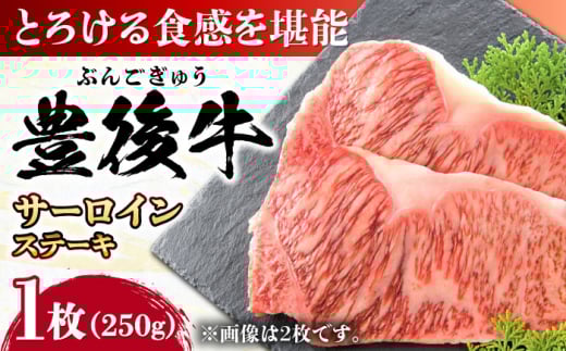 おおいた豊後牛 サーロインステーキ 250g (250g×1枚) 日田市 / 株式会社MEAT PLUS 牛肉 おおいた豊後牛 おおいた 豊後牛 黒毛和牛 サーロイン サーロインステーキ ステーキ 国産 和牛 [AREI006]