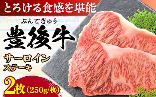 おおいた豊後牛 サーロインステーキ 500g (250g×2枚) 日田市 / 株式会社MEAT PLUS 牛肉 おおいた豊後牛 おおいた 豊後牛 黒毛和牛 サーロイン サーロインステーキ ステーキ 国産 和牛 [AREI007]