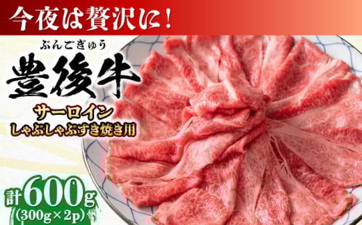 【厳選部位】おおいた豊後牛 サーロイン しゃぶしゃぶすき焼き用 600g(300g×2P) 日田市 / 株式会社MEAT PLUS おおいた豊後牛 おおいた 豊後牛 黒毛和牛 スライス しゃぶしゃぶすき焼き しゃぶしゃぶ すき焼き 小分け サーロイン 和牛  [AREI017]