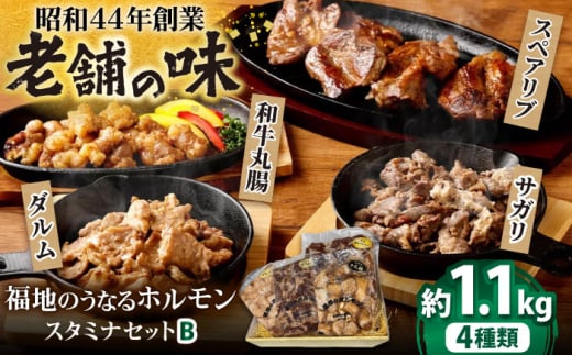 【お歳暮対象】スタミナセットB 4種類　（豚スペアリブ・和牛丸腸・豚サガリ・豚ダルム）計1,130g 日田市 / 福地のうなるホルモン もつ モツ ホルモン ほるもん 和牛 豚肉 まるちょう 焼肉セット [ARAY002]