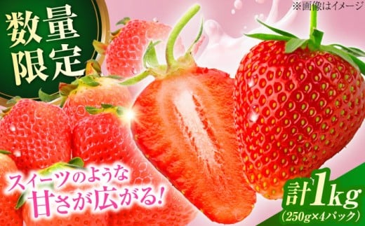 【先行予約・26年2月以降発送】大分産ベリーツ(約250g×4パック) ベリーツ いちご 苺 イチゴ 果物 甘い フルーツ デザート いちご パフェ　日田市 / 南国フルーツ株式会社  [ARET010]