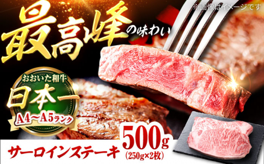 おおいた和牛 サーロインステーキ 500g (250g×2枚) 日田市 / 株式会社OTOGINO　牛肉 和牛 にく[AREF128]