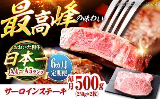 【全6回定期便】おおいた和牛 サーロインステーキ 500g (250g×2枚) 日田市 / 株式会社OTOGINO　牛肉 和牛 にく[AREF136]